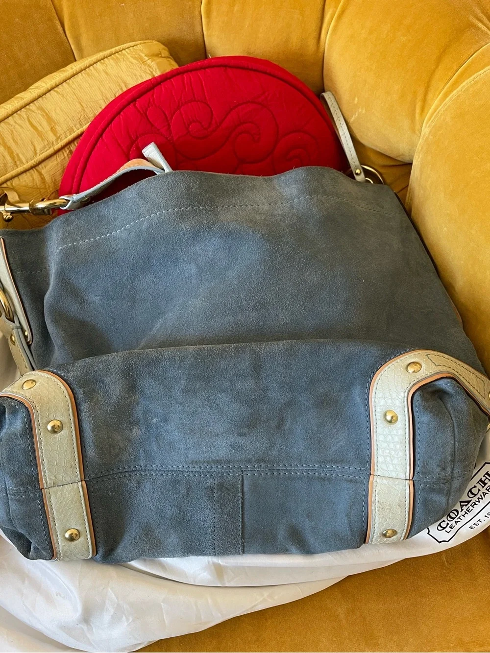 Coach 2007 Limited Edition Carley Hobo in Blue Suede/Snakeskin Leather Strap Bag